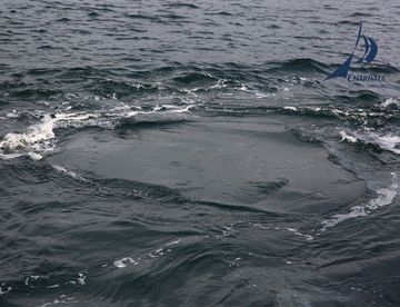 Eddie - starke Wasserströmung