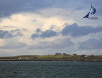 Die grüne Insel Die grüne Insel